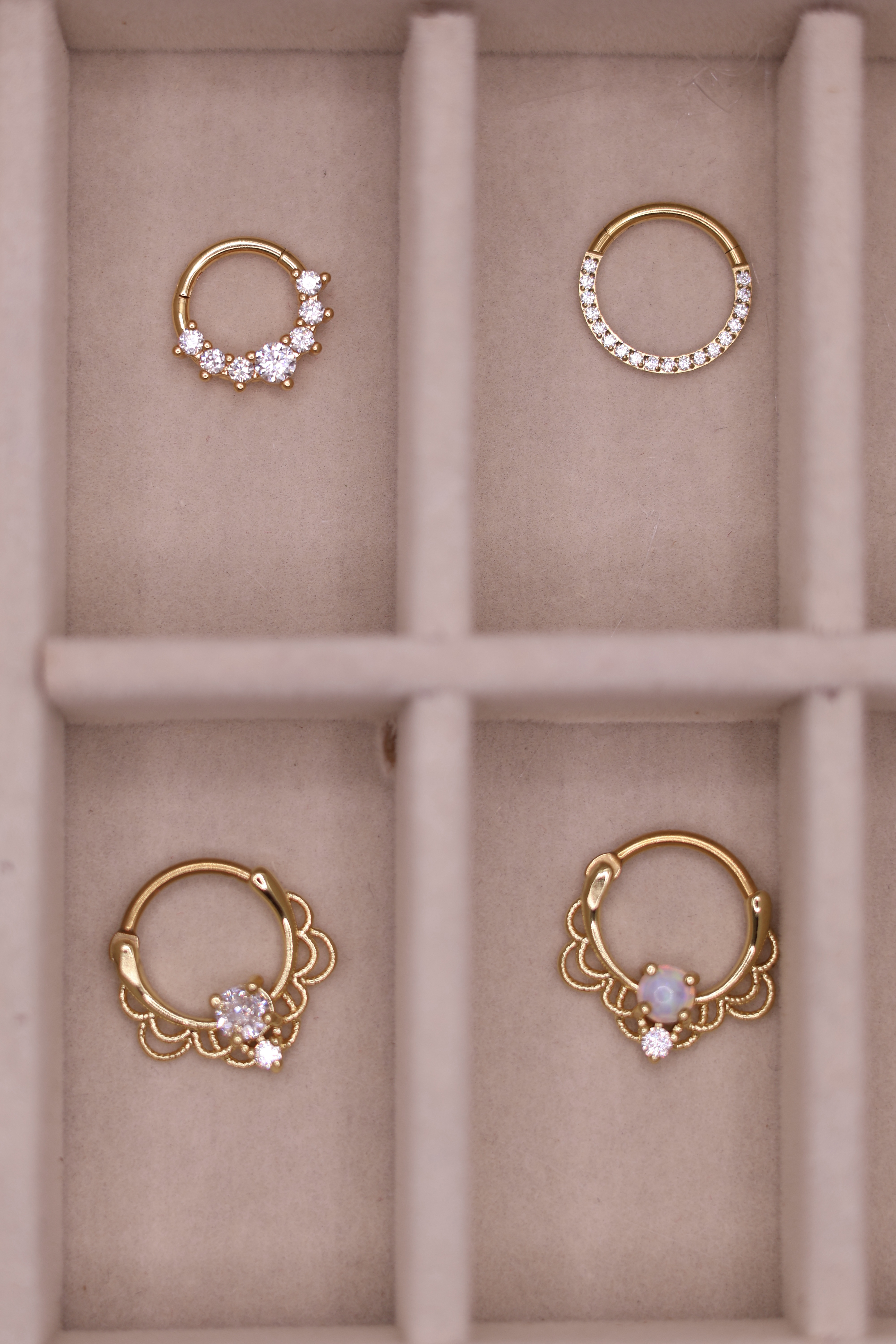 Septum y Daith
